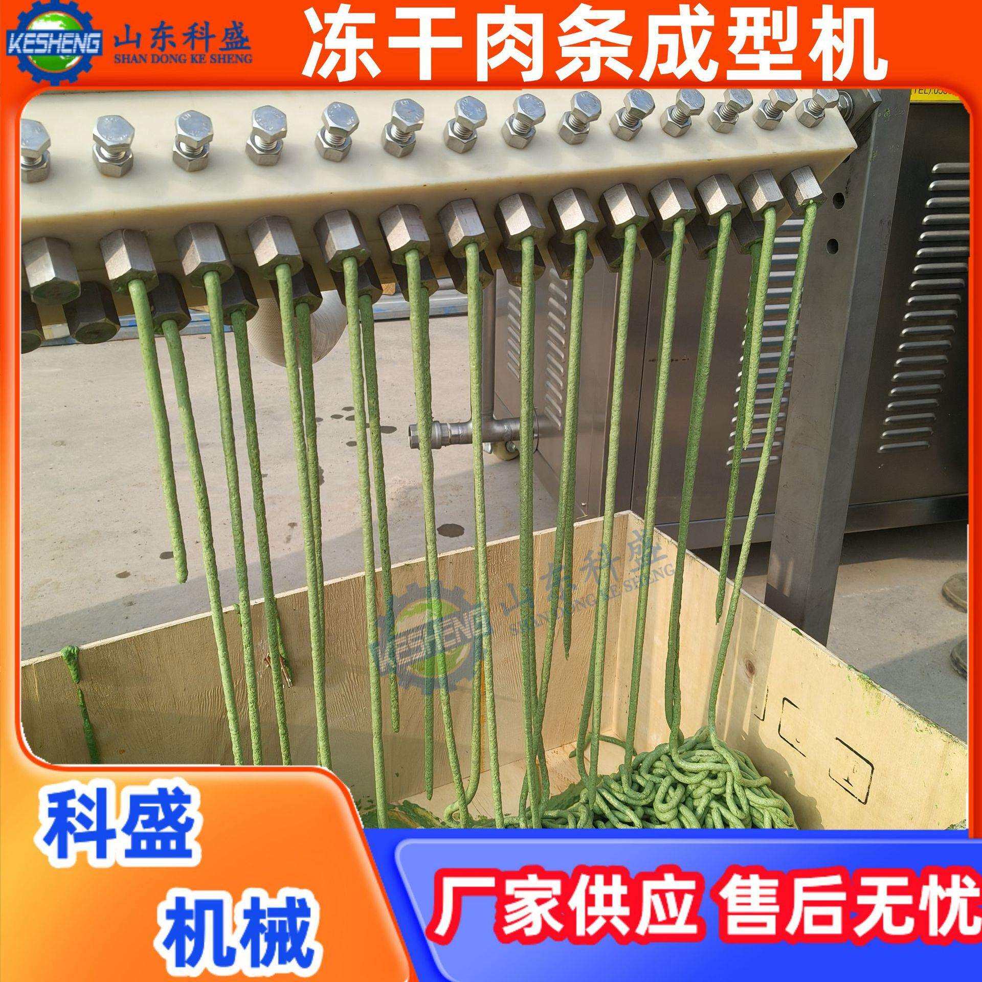 供应宠物食品肉条挤出机 冻干肉条挤出成型机 羊奶棒挤出机