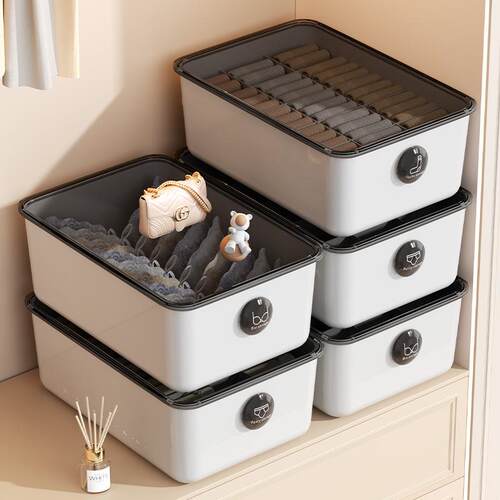 3-in-1 Organizer Box for Underwear, Bras, and Socks - Home W