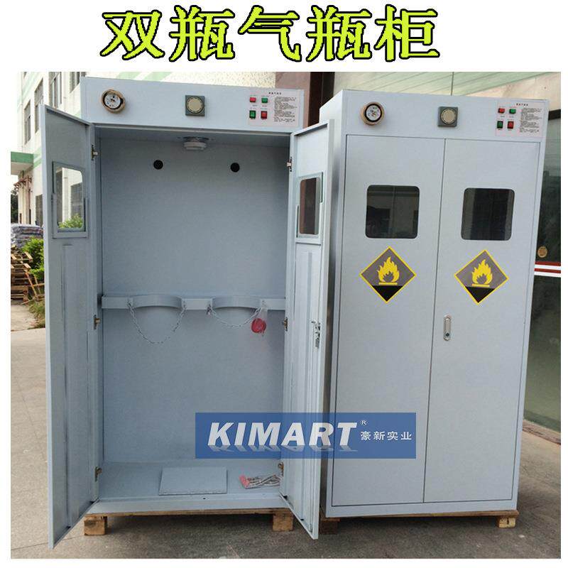 双瓶气瓶柜钢瓶柜气瓶存储柜氢气氩气体防泄漏柜带报警器防爆学校