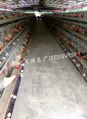 广州厂家现货供应蛋鸡养殖笼具四层可养128只鸡自动饮水系统鸡笼