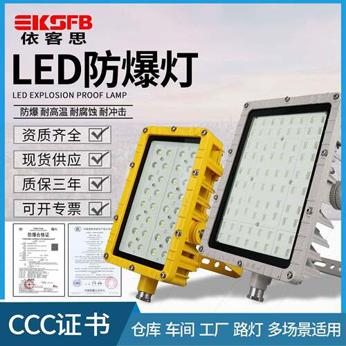 C8115LED泛光灯60W厂房隔爆型投光灯100W户外防水路灯式防爆灯