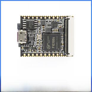 Sipeed荔枝纳米荔枝派跨界开发板多系统Linux F1C100S
