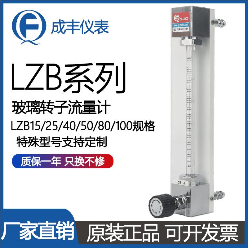 计厂家L ZB-4F不锈钢材质玻璃管浮子GHD流表量空气流量仪直销