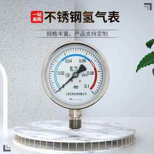 200不锈钢氢气表氢气表