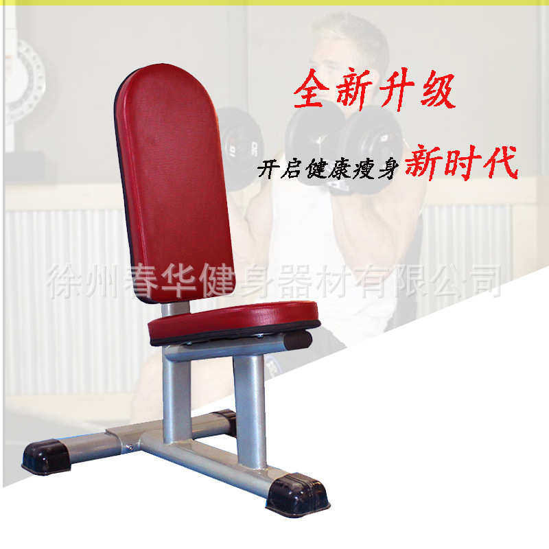 哑铃凳商用健身椅直角凳罗马椅推肩椅综合训练凳男士哑铃椅可调凳