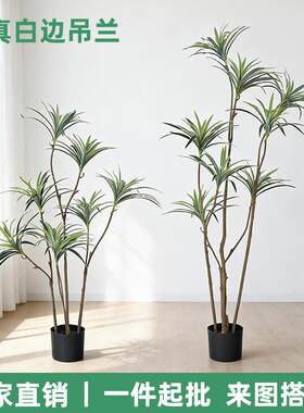仿真绿植白边吊兰树盆栽客厅电视柜玄关处高档落地装饰假植物摆件