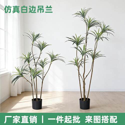仿真绿植白边吊兰树盆栽客厅电视柜玄关处高档落地装饰假植物摆件