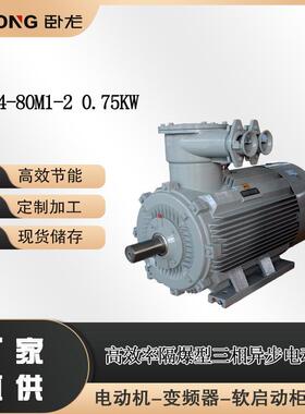 YBX4-80M1-20.75W高效率隔爆型三相异步电动机B3、B5、B35、V1