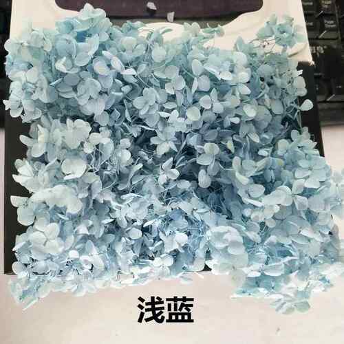 新款直销处理B级小叶安娜绣球永生花情人节圣诞节生日礼物礼盒配