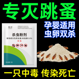 跳蚤药杀虫剂人用床上家用除跳蚤神器灭跳骚专用药粉去杀非无毒粉