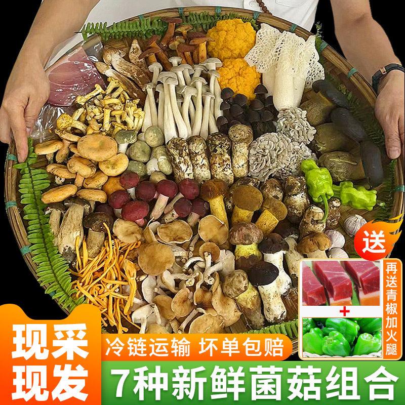 云南特产野生菌菇新鲜组合装500g蘑菇杂菌松茸羊肚菌子鸡枞牛肝菌