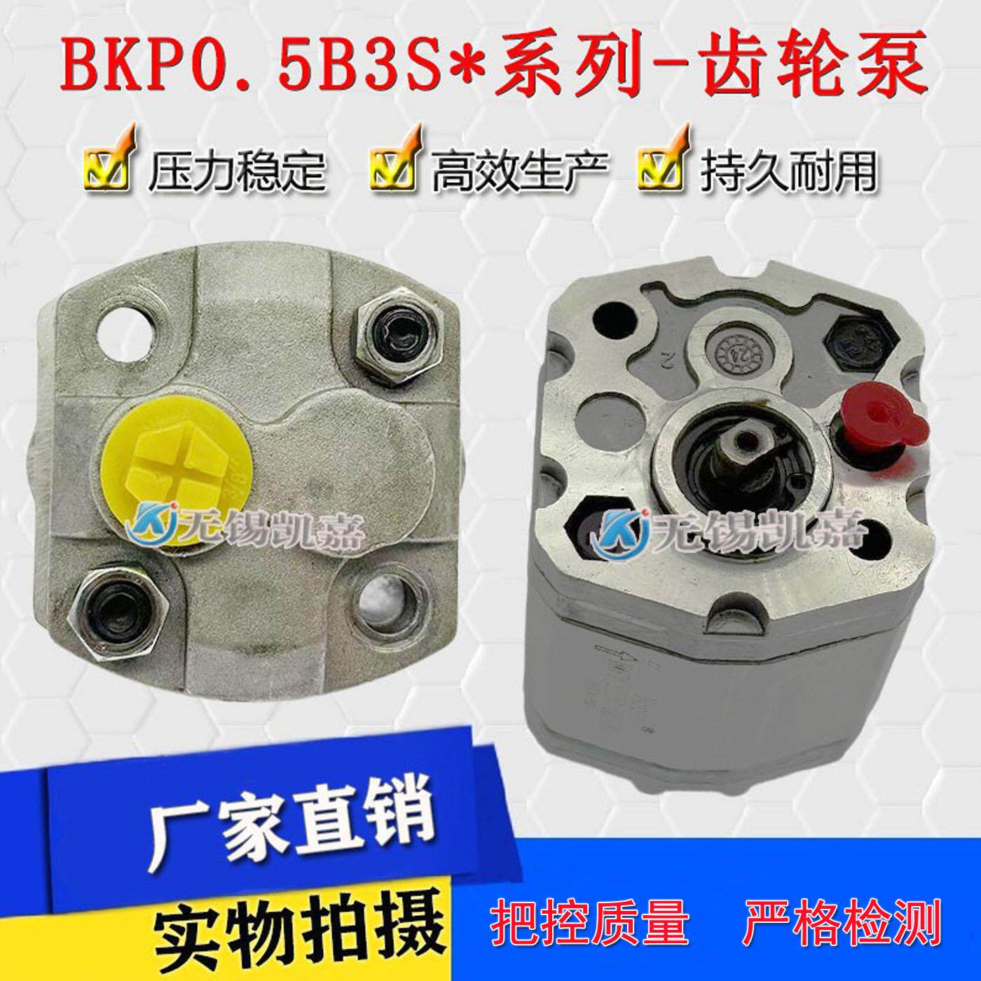 博顿Boden齿轮泵BKP0.5B1D0.38G0L2/0.26G0L2动力单元升降液压帮