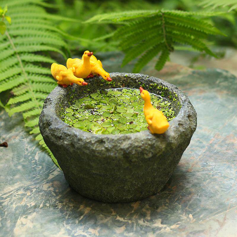 铜钱草碗莲水培植物花盆小鸭子摆件创意彷石臼桌面装饰品摆设礼物
