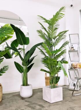 大型彷真绿色植物散尾葵龟背芋旅人蕉北欧ins风橱窗假植物树落地