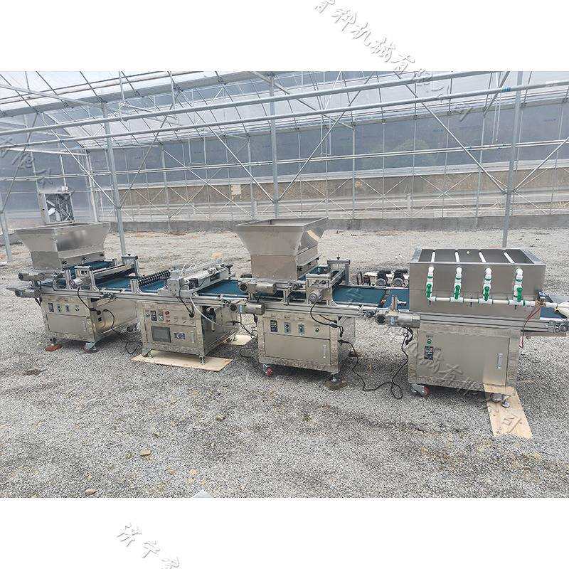 滚筒式穴盘育苗播种机辣皮子育苗双粒点播机蔬菜基地育苗用点种机