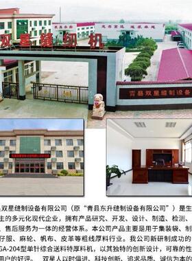 源头G下A204-104A上送料二点粗缝线曲折工业纫机GA204-10直销