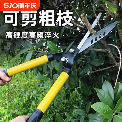 园艺剪草坪专用绿化修枝剪修剪花草树枝绿篱剪园林强力大剪刀剪枝
