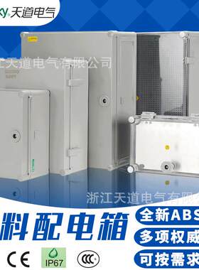 天道电气防水接线盒三级配电箱工地塑料成套箱防水塑料配电箱