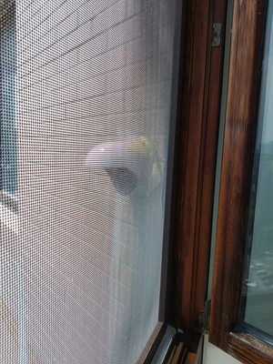 震撼！造梦者新风机怎么样，为什么说质量好？内幕是