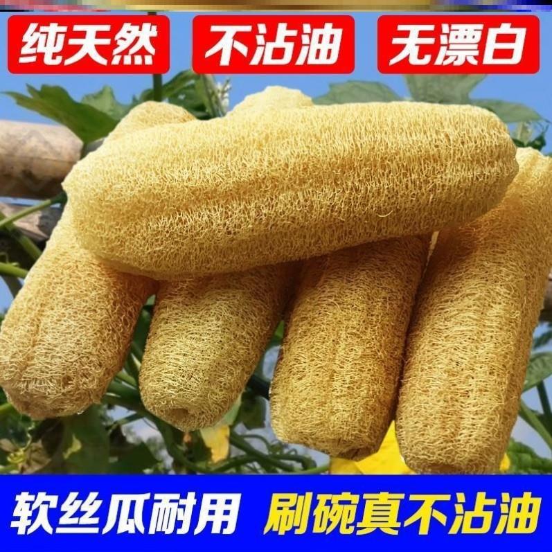 纯天然老丝瓜络洗碗丝瓜瓤洗碗不沾油刷锅洗澡巾丝瓜筋长条发泡