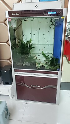 讲讲看森森鱼缸怎么样评测有如何优缺点？