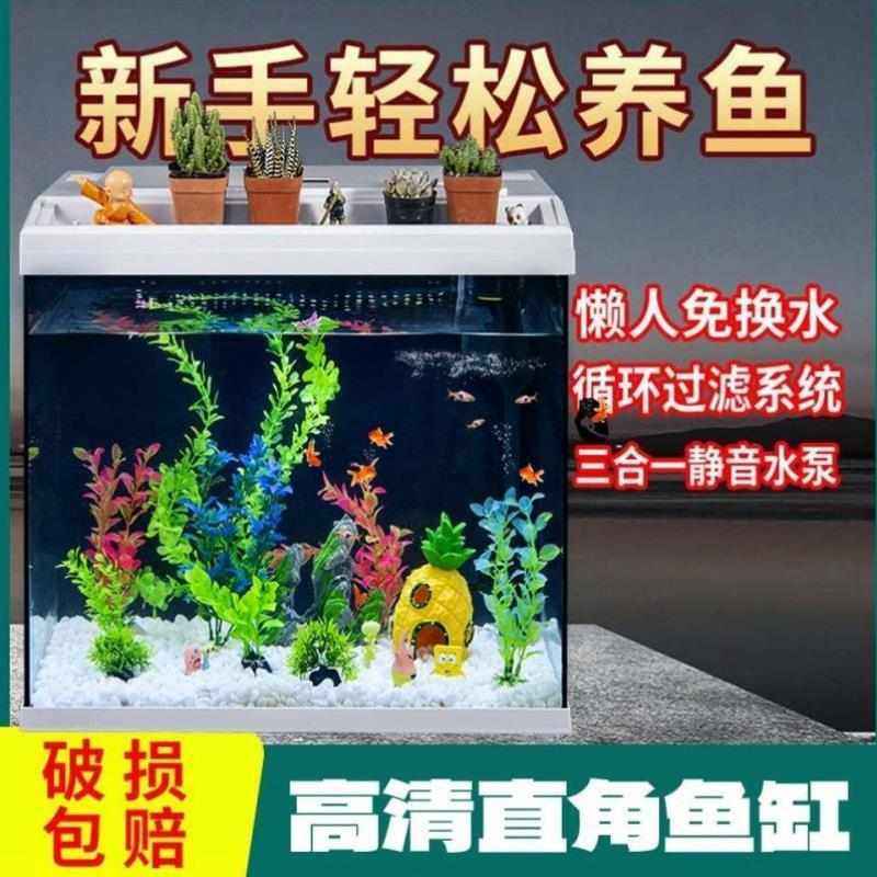 水族箱新款金鱼缸换水生态桌面创意客厅鱼缸小型玻璃家用懒人造景,宠物/宠物食品及用品,桌面缸,淘宝优惠券,粉丝福利购,淘宝优惠卷