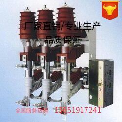 ZN63(VSI)-12/630-25户内真空断路器