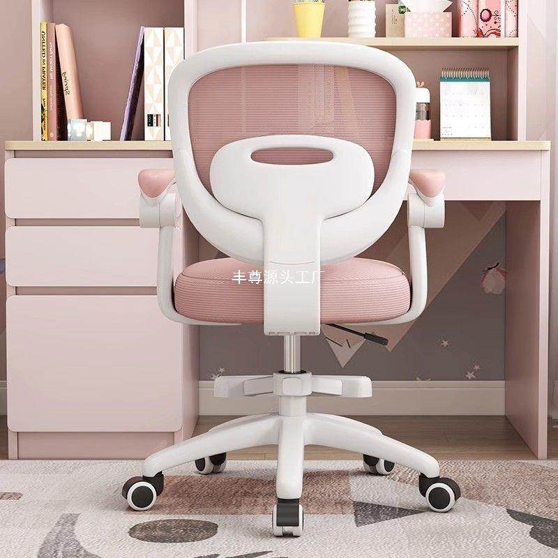 儿童学习椅子可降椅FSN小学生家升用写字椅书房书桌座电家脑椅用
