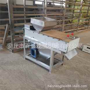 花生厂家售花生仁去皮机不锈钢生脱销皮花ULX生机米花红衣脱皮机