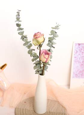 真花干花花束花束玫瑰餐桌花艺
