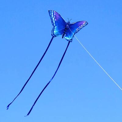 飞翔长飘带情UAH侣蝶风筝微风易蝴飞高档儿同童大人用专网红山东