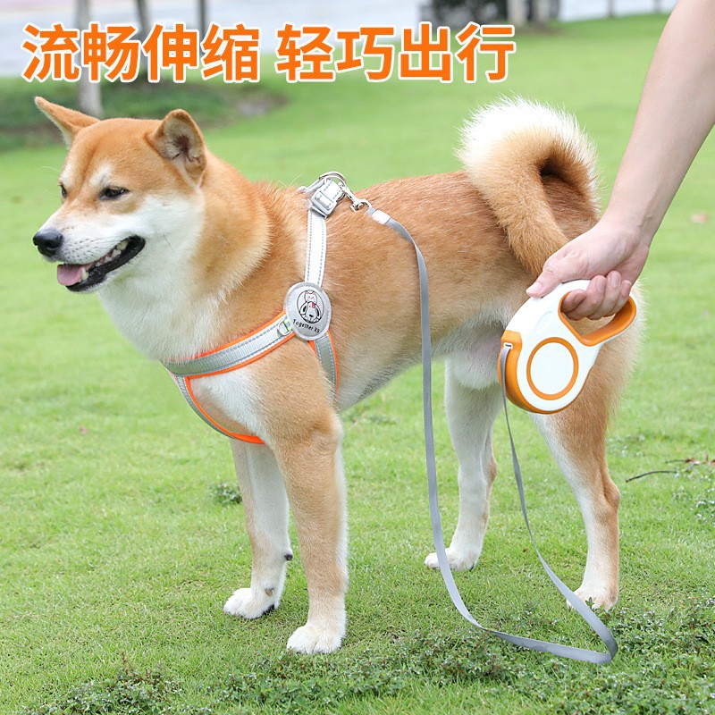 收缩宠物牵引狗狗背带狗牵引绳