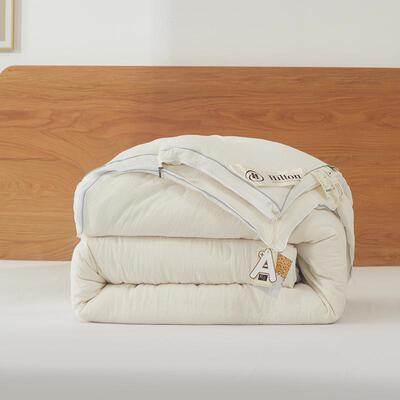 冬新款超A类原冬季新款棉柔大豆冬被季秋被芯二合一子母被被加厚