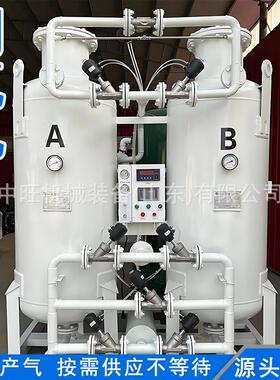 食品制氮机PSA变压吸附制氮机防氧化防腐制氮机