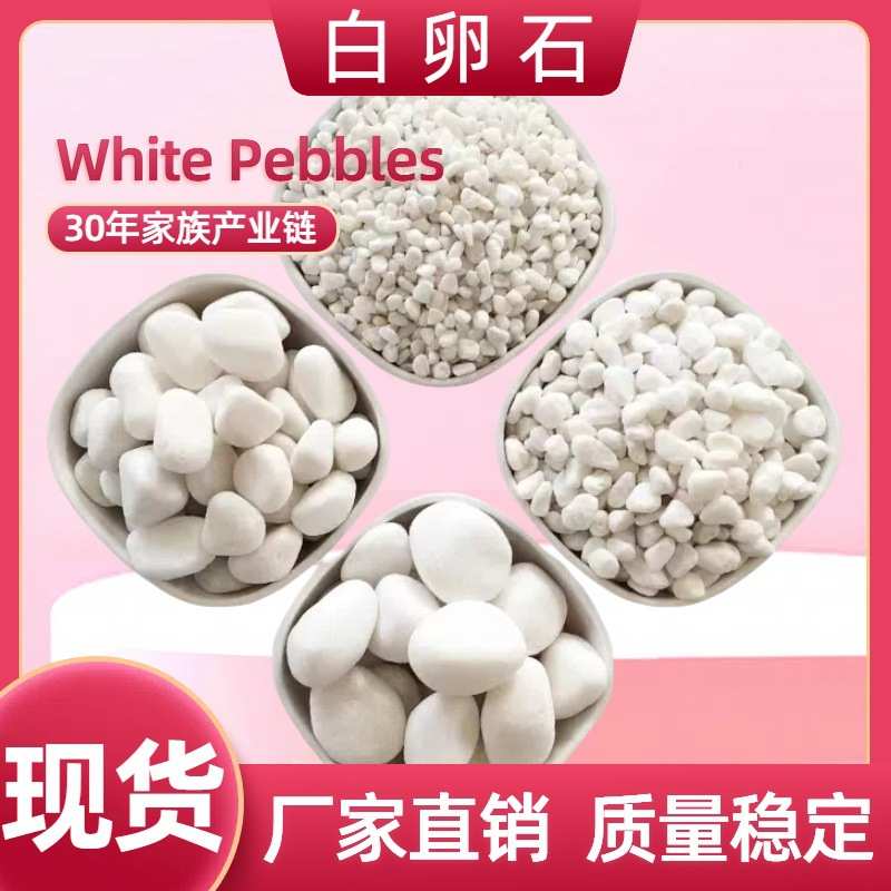 白石子厂家直销机制白色鹅卵石铺路石园艺造景滤料园艺铺面白石头