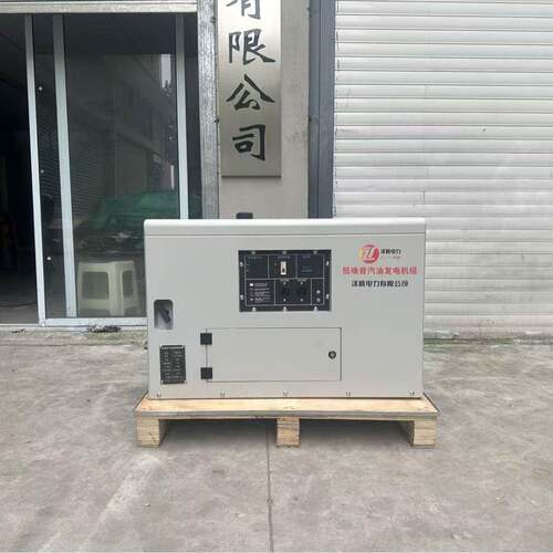 220V 8千瓦静音汽油发电机 SH11000EM 手电启动 纯铜电机备用电源