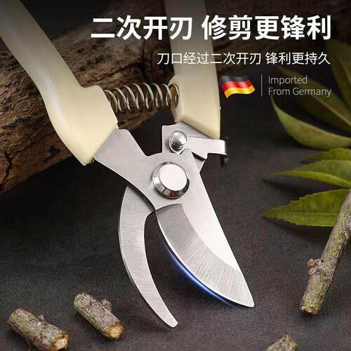 园艺剪刀工具绿化家用修枝剪树枝花卉多功能修剪省力方便耐用