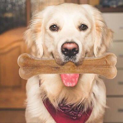8 Inch Teeth Clean Stick Anti-bite Creative Leather Chew