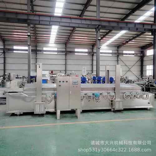 挂糊枪鱼炸流水线全自动草鱼YQV炸设备金油鲤油鱼连续油炸生产线