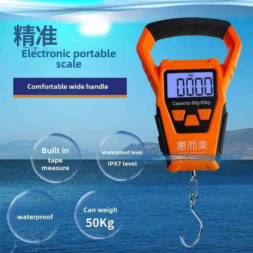 精密迷你挎包数码秤高精度小挎包起重机秤弹簧秤家用钩秤小挎包