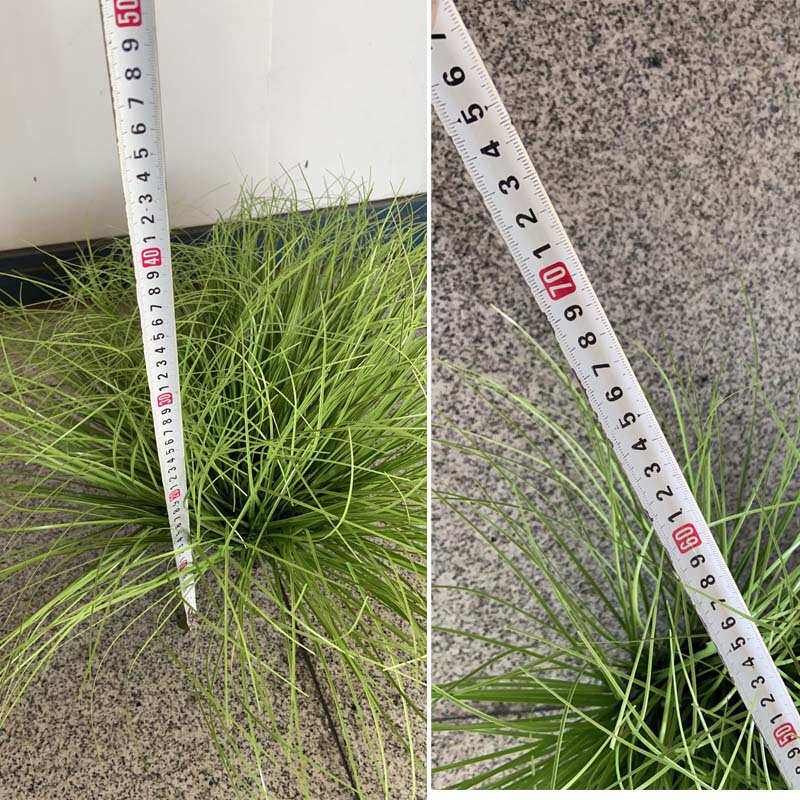 工厂店阻燃植物装饰小草纯草草垛草块草堆地草洋葱草造景园艺摆设