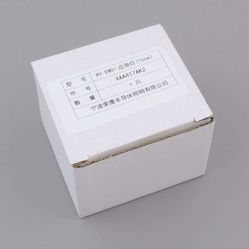 原装电子一厂XAA417AK1/2圆筒灯12V奥的斯电梯配件轿厢应急照明灯