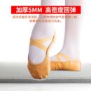 其他 家用舞蹈地胶防滑耐磨0甲醛pvc材质加厚街舞练习芭蕾舞垫子