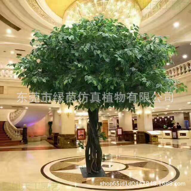 直销假榕树250cm仿真细叶榕绿植万年青东莞绿茵榕树须树布景