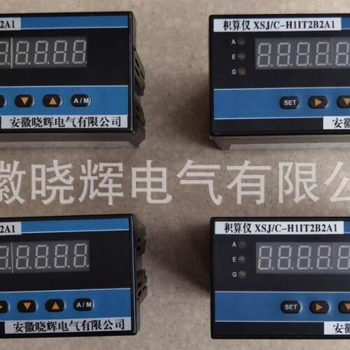 XSJ/C-H1IT2B2A1积算仪