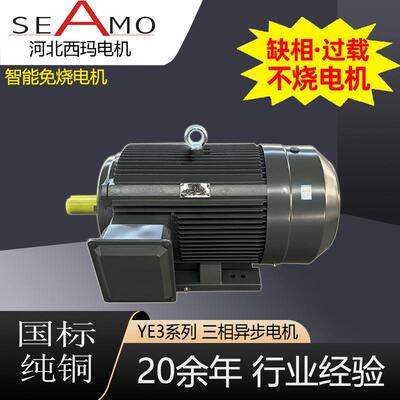 电机定制生产YE3-6极2.2W-315w高效三相异步电动机