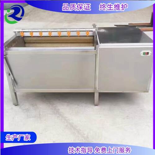 土豆莲藕毛辊清洗机萝卜去泥加工清洗设备海鲜加工气泡清洗机