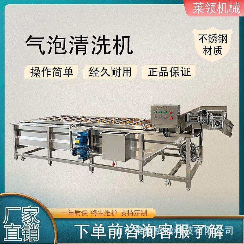 黄瓜高压喷淋气泡清洗机木耳气泡喷淋设备自动提升喷淋式洗菜机器