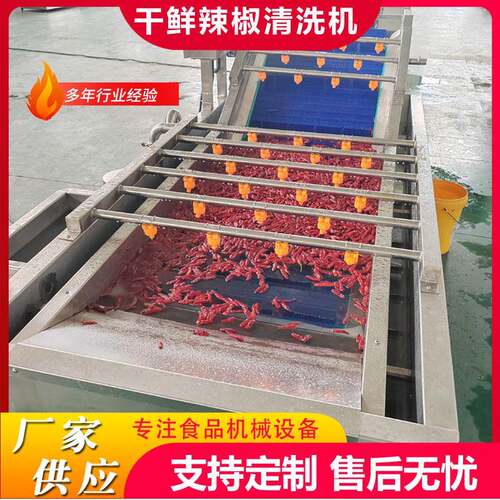 工厂用果蔬气泡清洗机竹笋鼓泡翻浪清洗机鲜花生去泥沙气泡清洗机