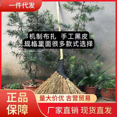 V45O竹扫把硬毛无叶竹丝农村老式大扫帚户外马路工地工厂庭院